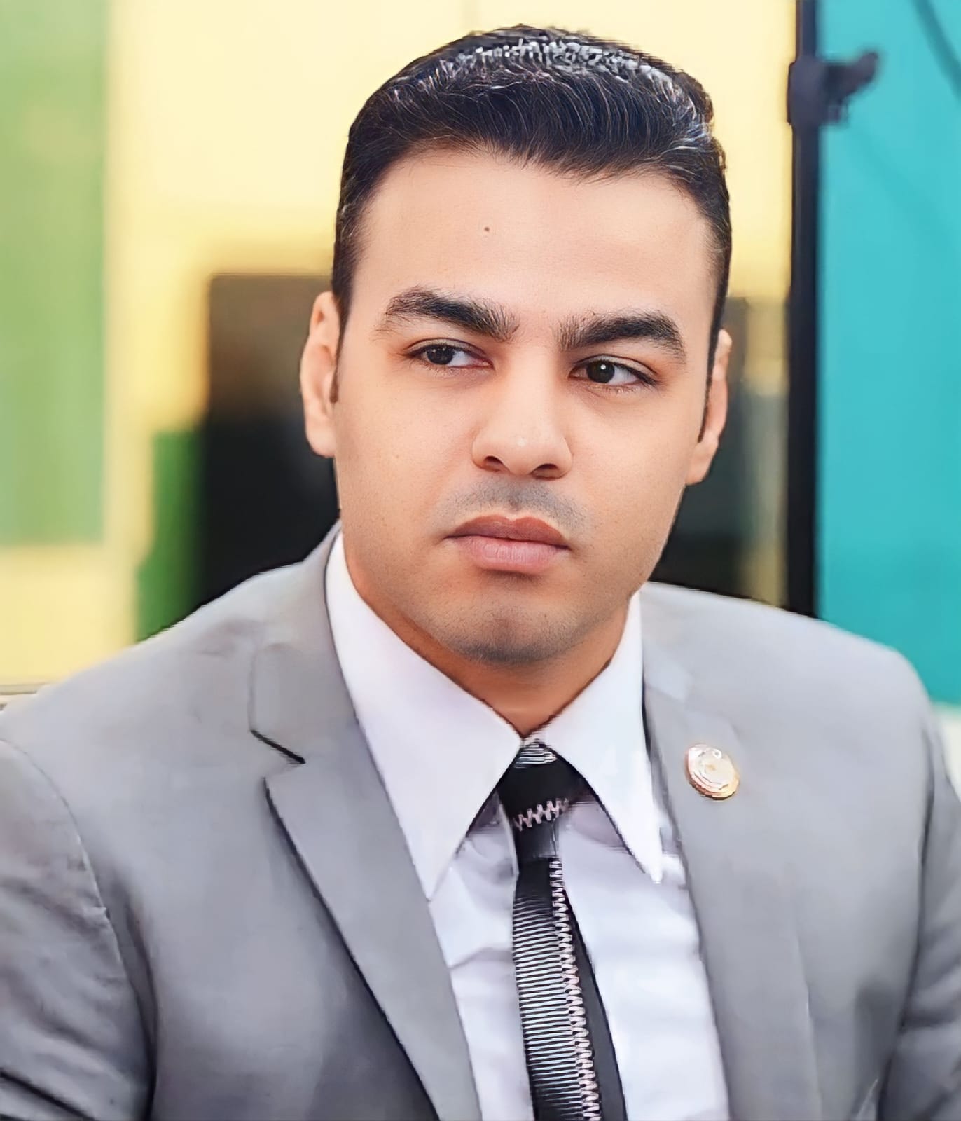 ا.م.د/ محمد السيد سالم